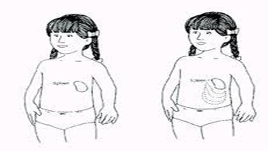 Image is for illustrative purposes only