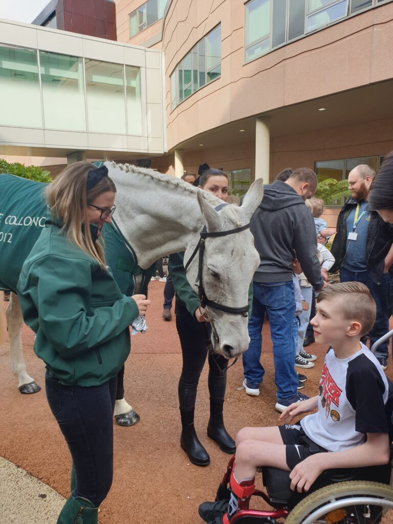 Child with racehorse Neptune Collonges