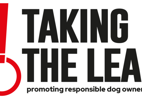 Taking the Lead campaign logo