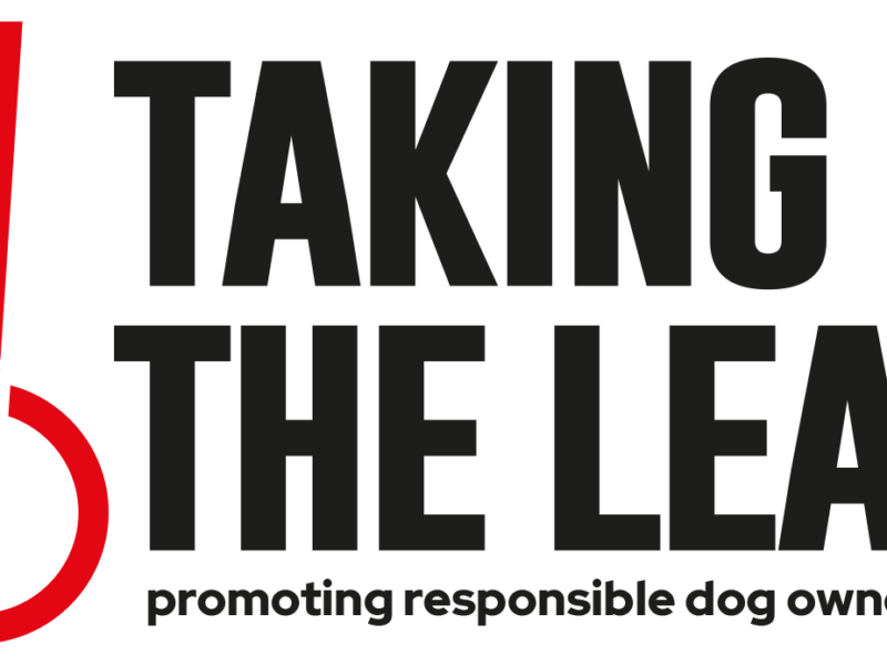 Taking the Lead campaign logo