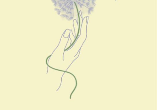 image is for decorative purposes only
