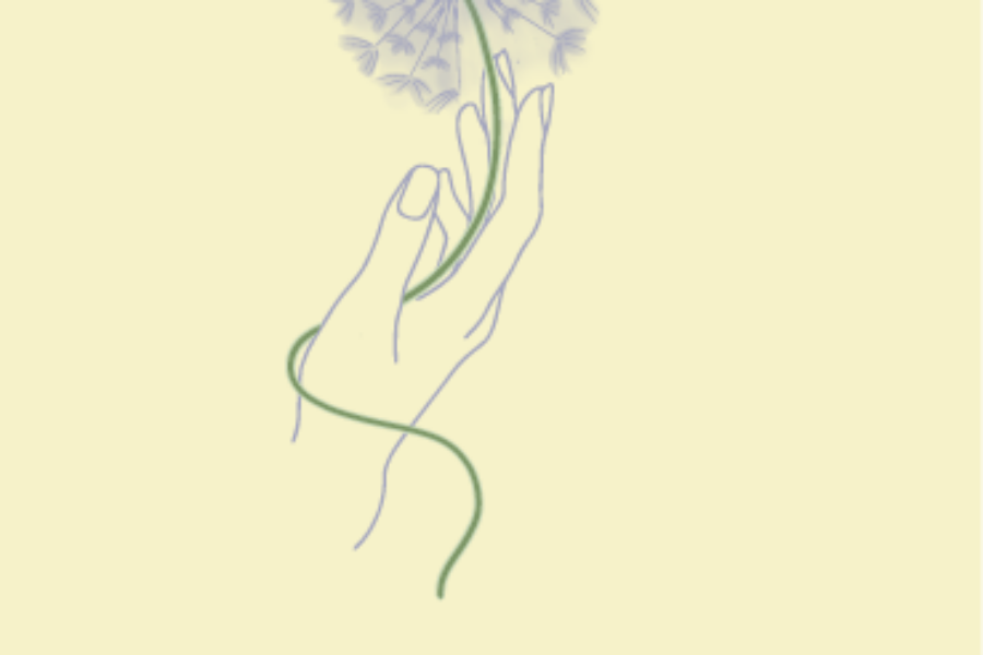 image is for decorative purposes only