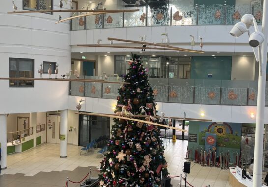Image of a christmas tree at Alder Hey