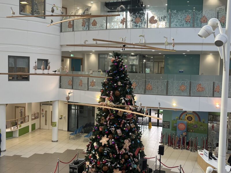 Image of a christmas tree at Alder Hey