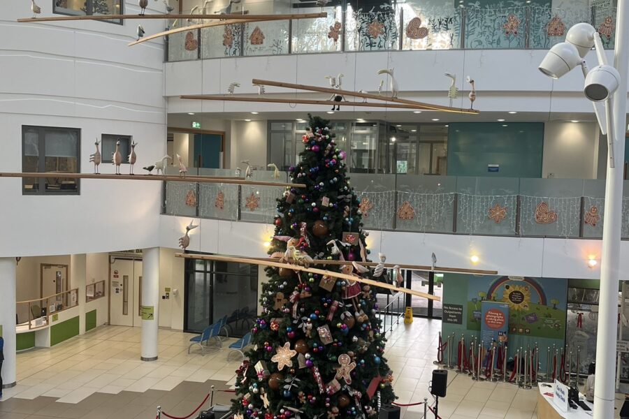 Image of a christmas tree at Alder Hey