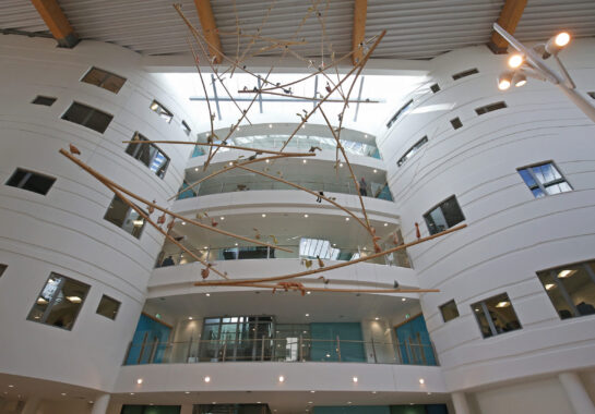 photo of alder hey atrium