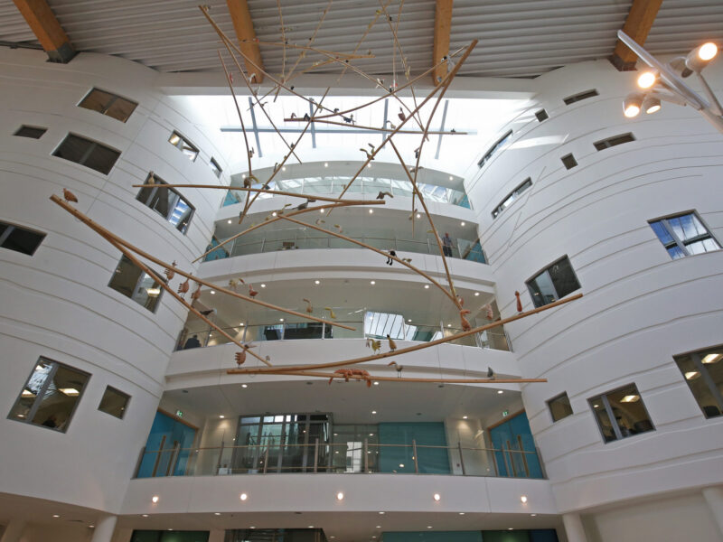 photo of alder hey atrium