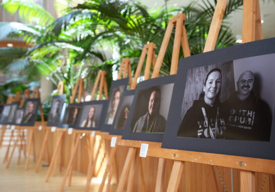 Image of art exhibition