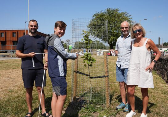 Photos of four people around a young sycamore tree
