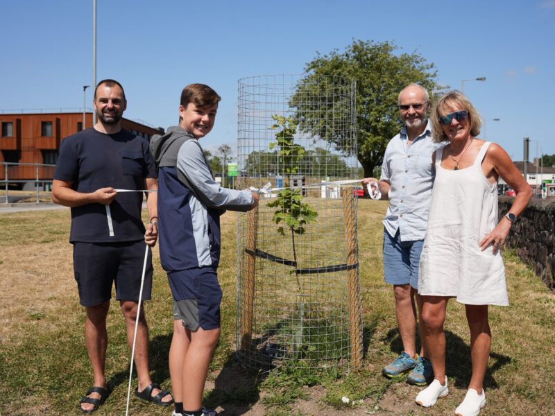 Photos of four people around a young sycamore tree