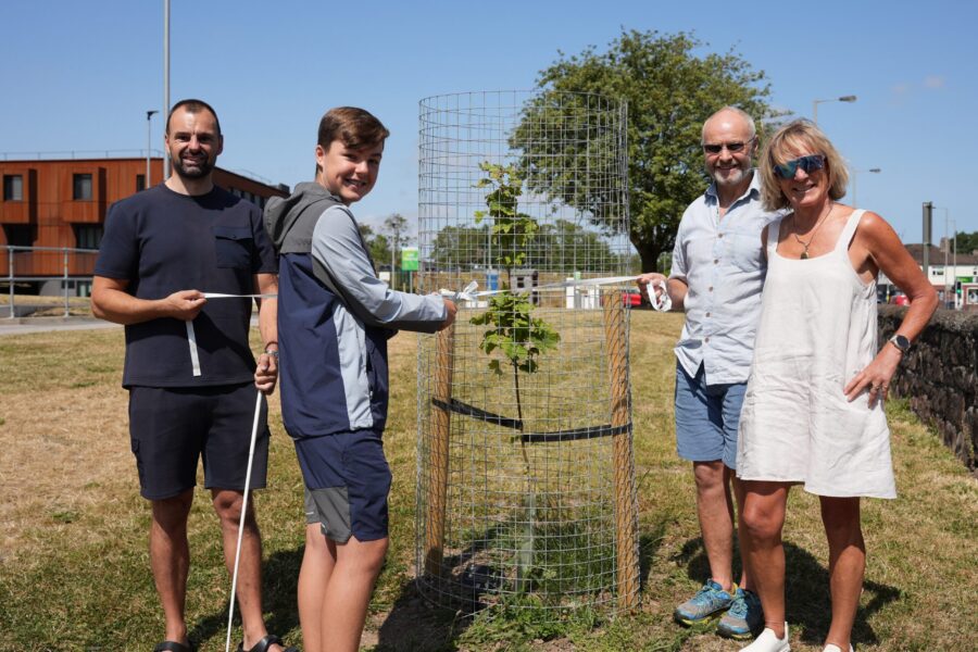Photos of four people around a young sycamore tree