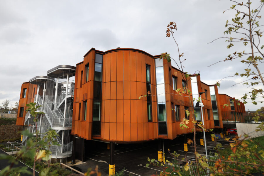 Sunflower House and Catkin