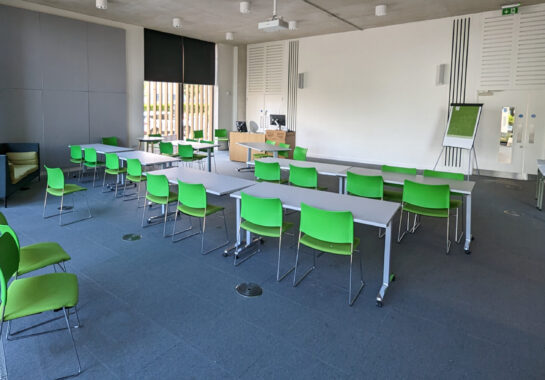 Lecture room in the Institute