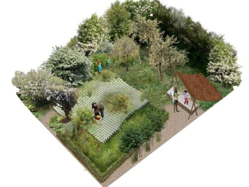a graphic of Chelsea Flower Show garden