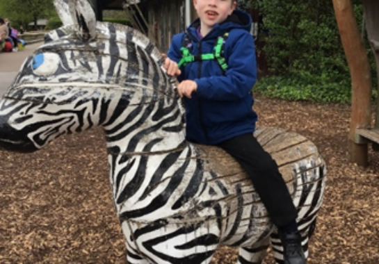 William sitting on a zebra statue