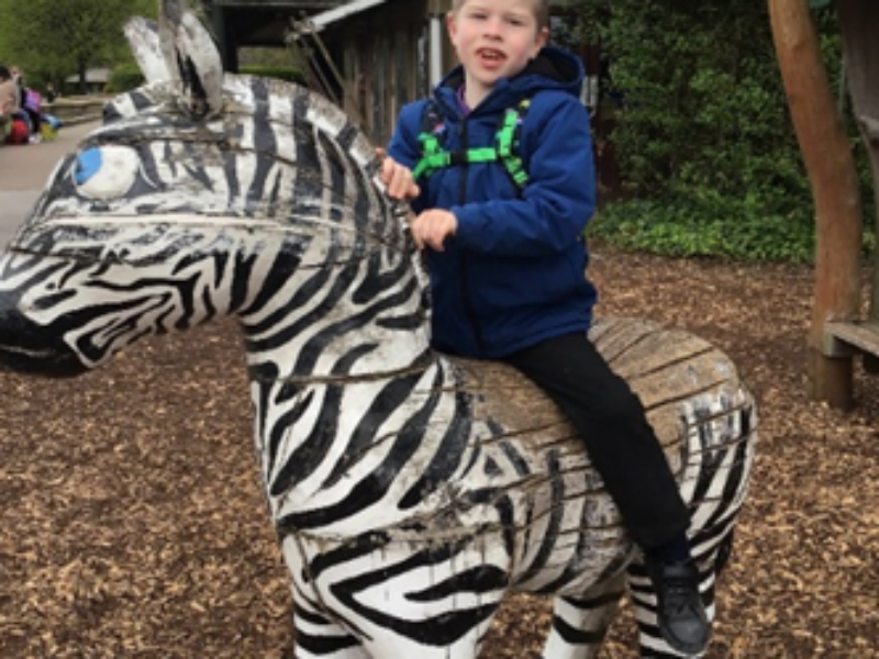 William sitting on a zebra statue